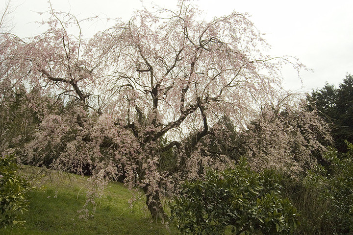 R0011285