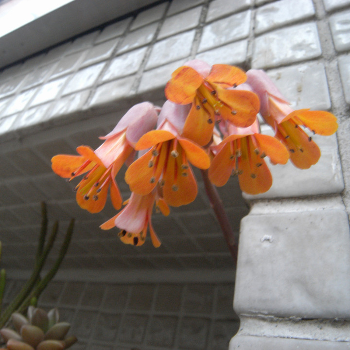 R0011326