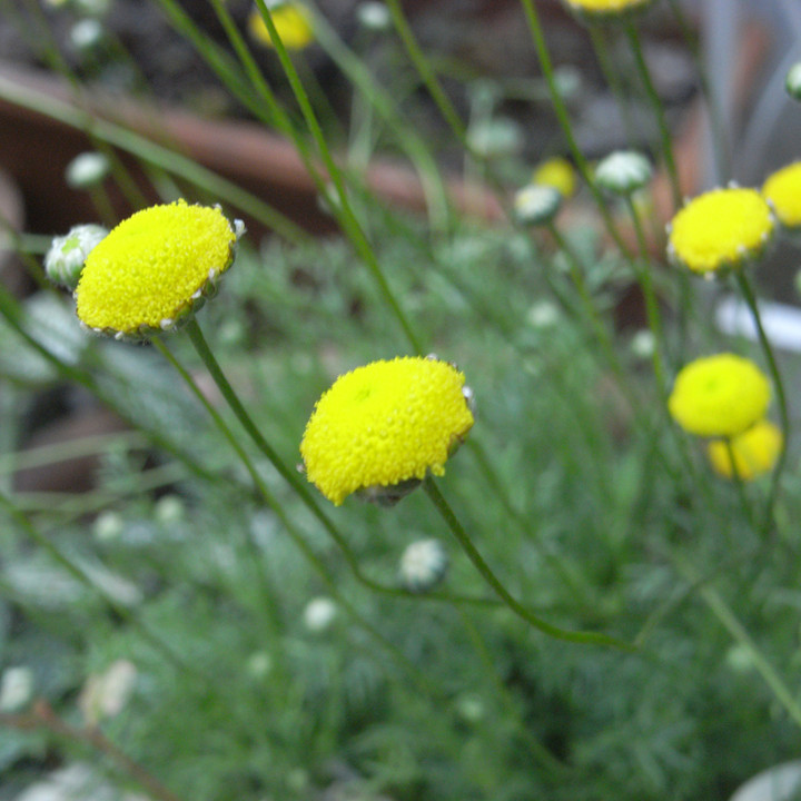 R0011334