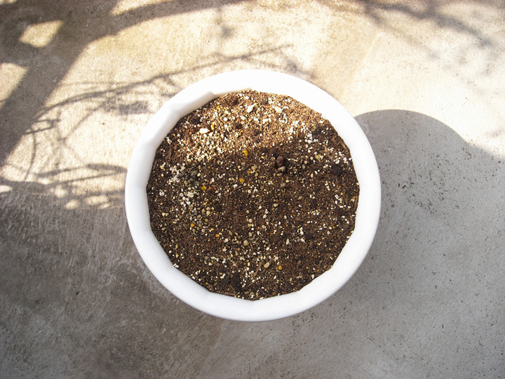 R0011752