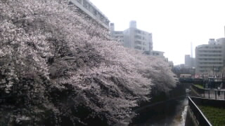 春の朝