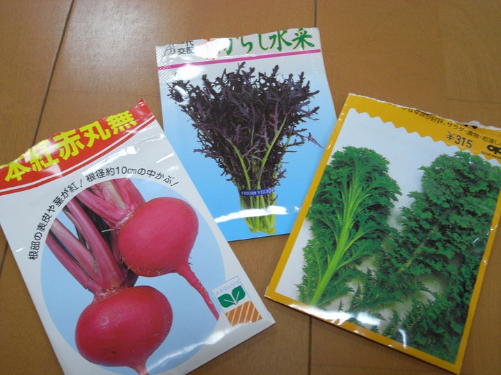 Seed