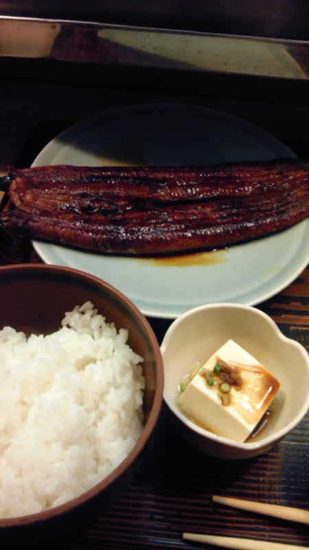 Sh3f0028