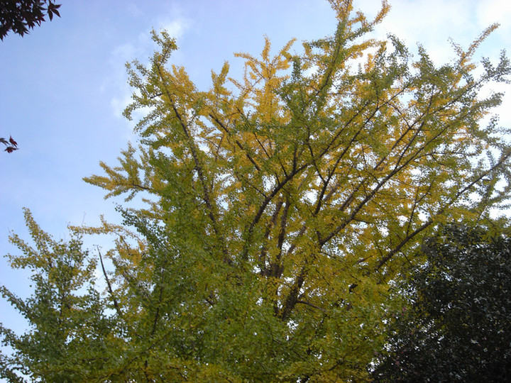 R0012010