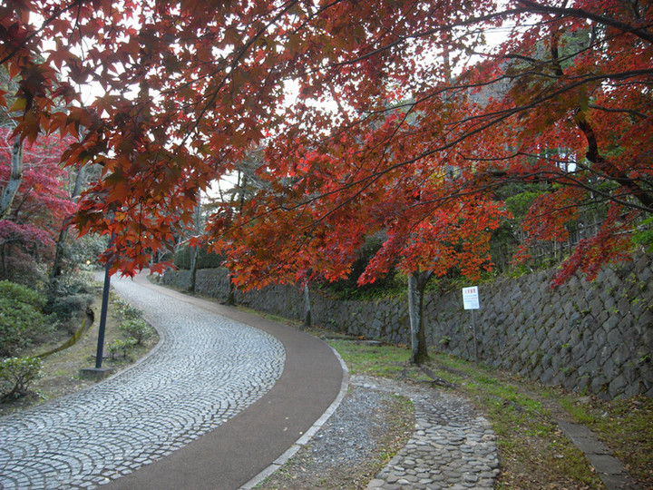 R0012011