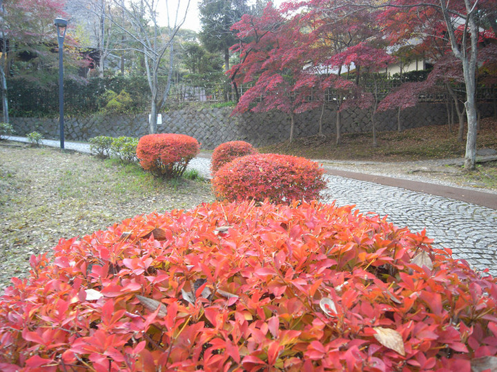 R0012012
