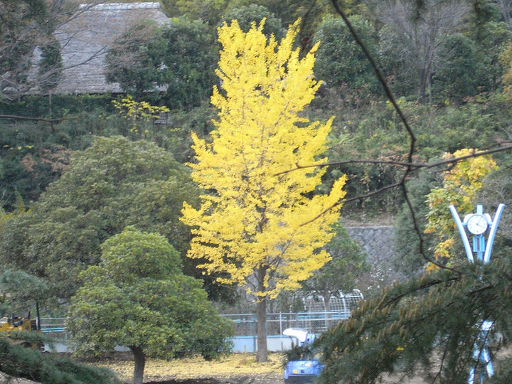 R0012016