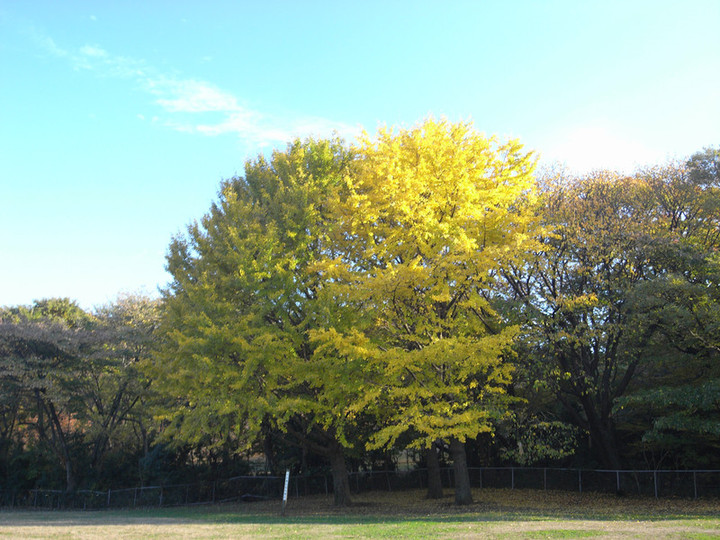 R0012021