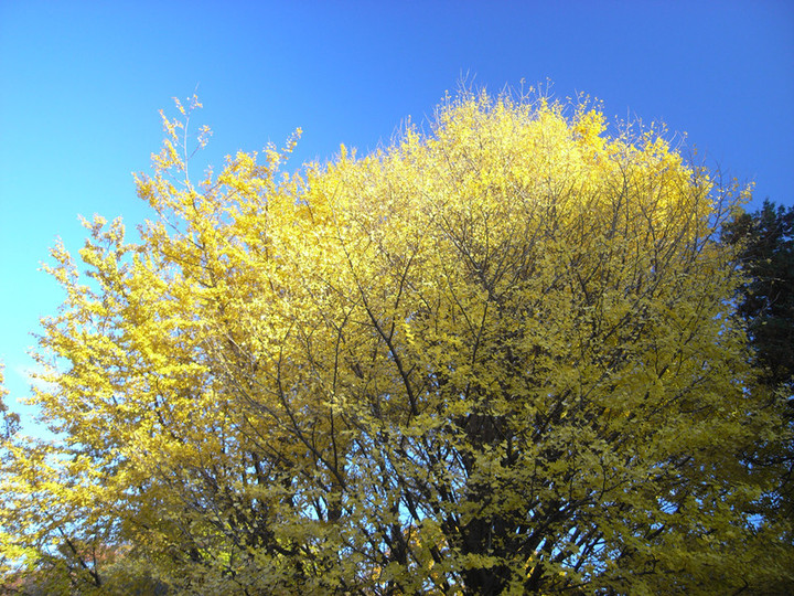 R0012022
