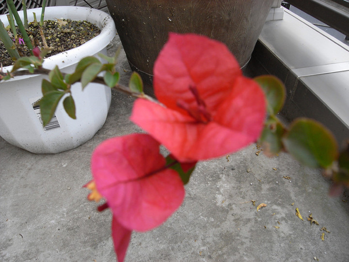 R0012213