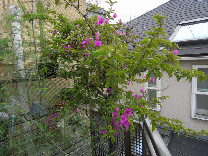 R0012215