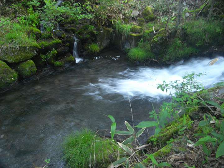 R0012270