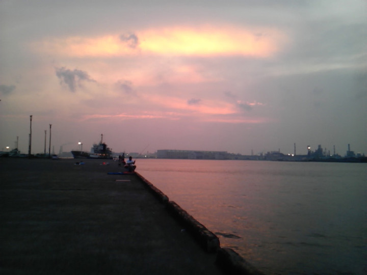 Sh3f0156