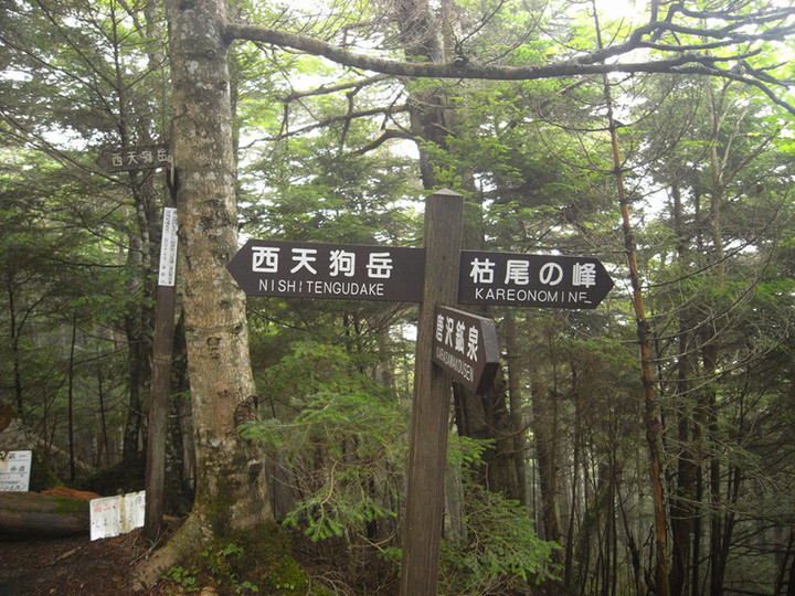 R0012324