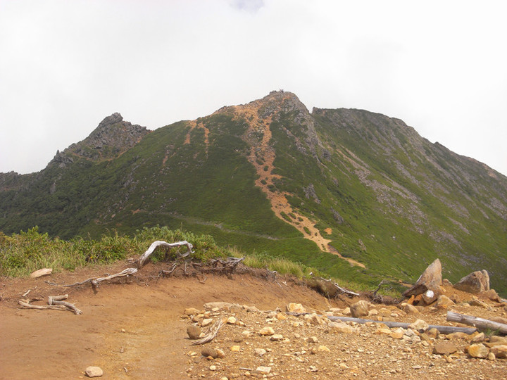 R0012336