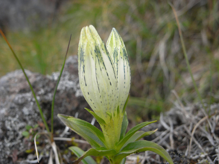 R0012347