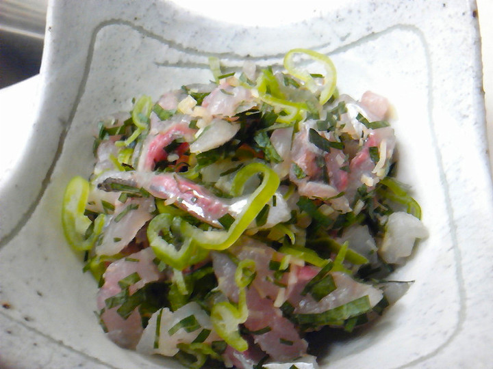 Sh3f01650001