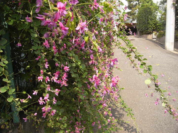 R0012377