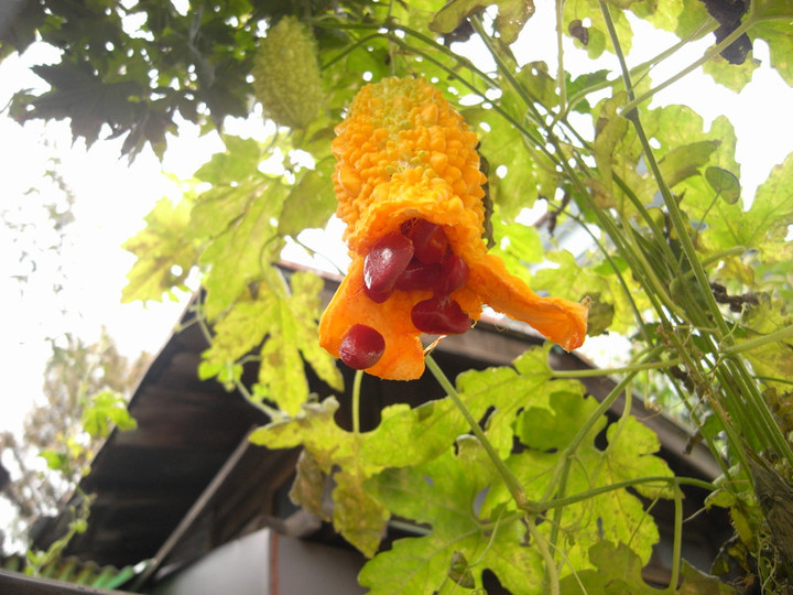 R0012380
