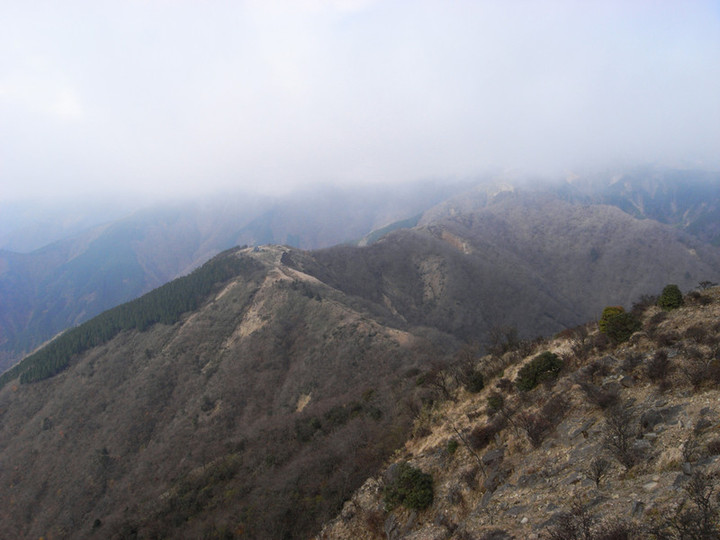 R0012445
