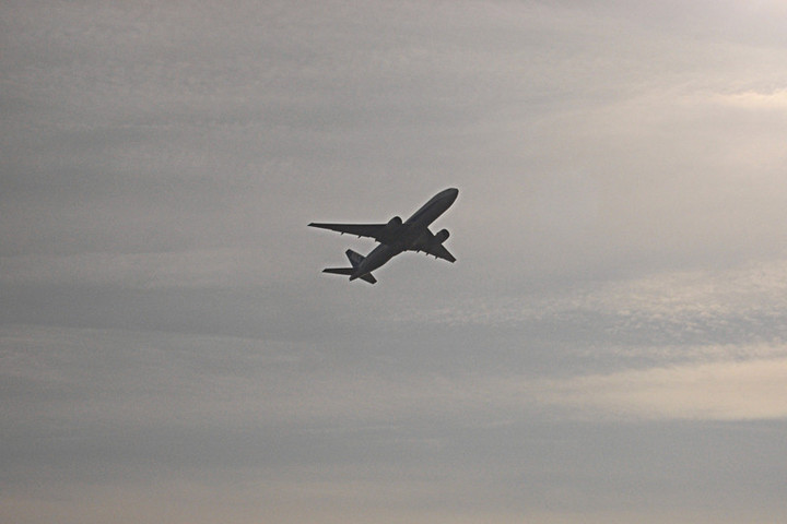 R0012513