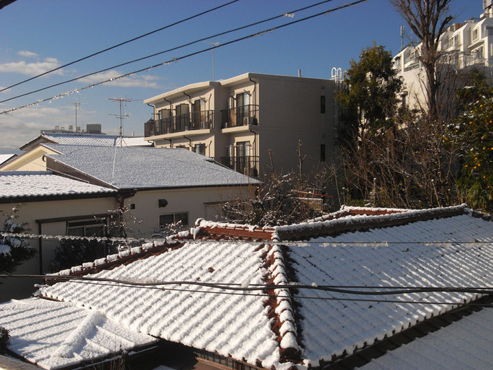 R0012519