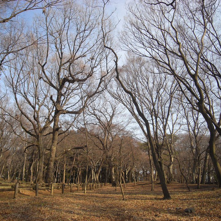 R0012538