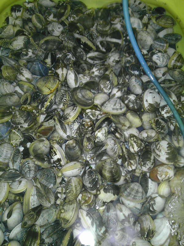 Imag0153
