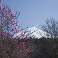 09 音無の滝付近からの富士